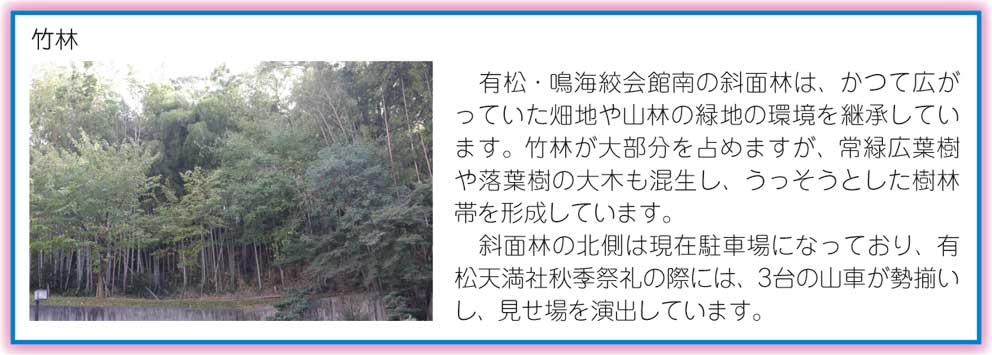 有松