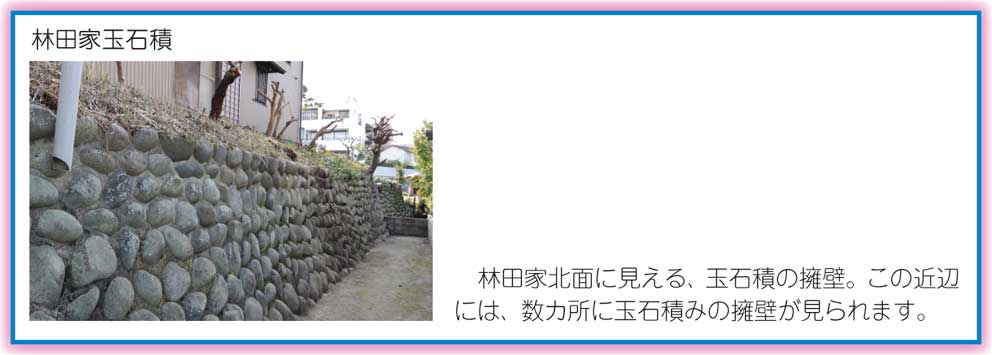 有松