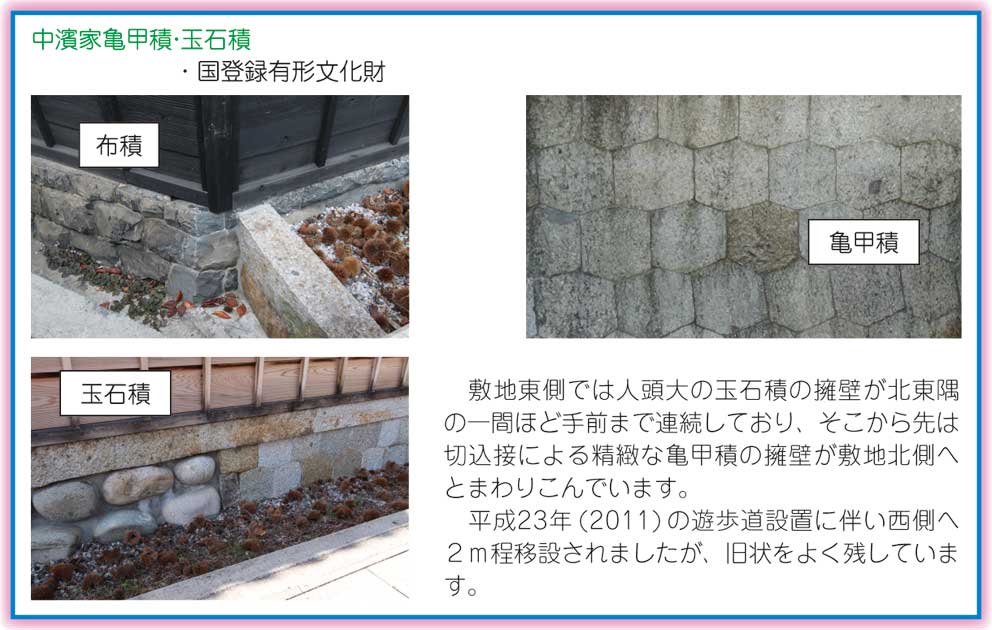 有松