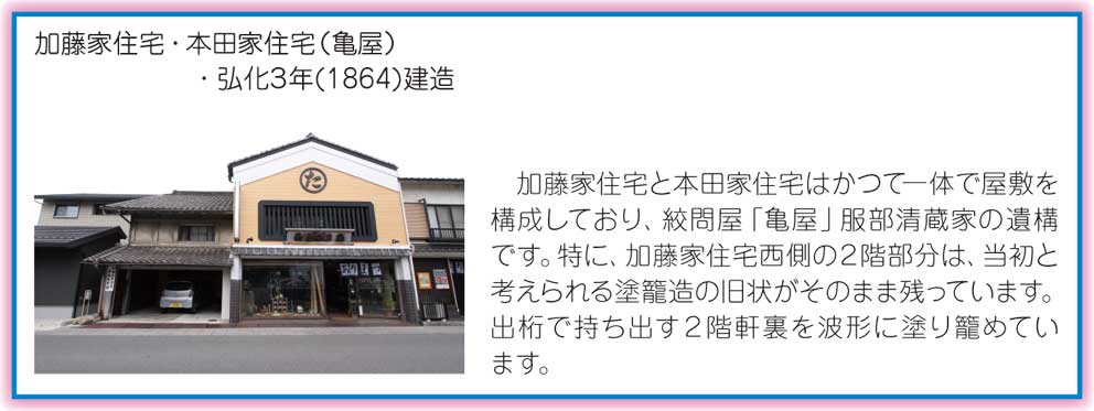 有松