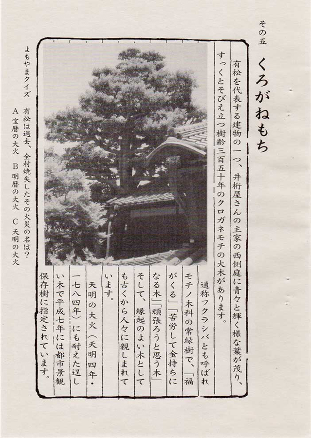有松
