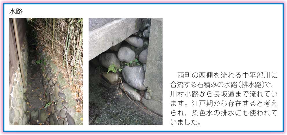 有松