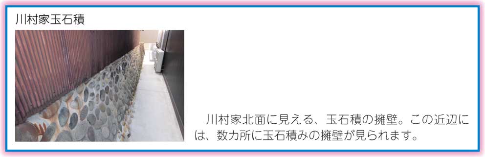 有松